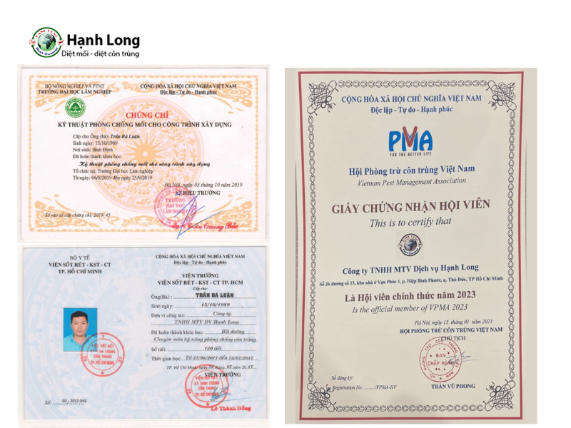 đơn vị diệt mối nhà xưởng 