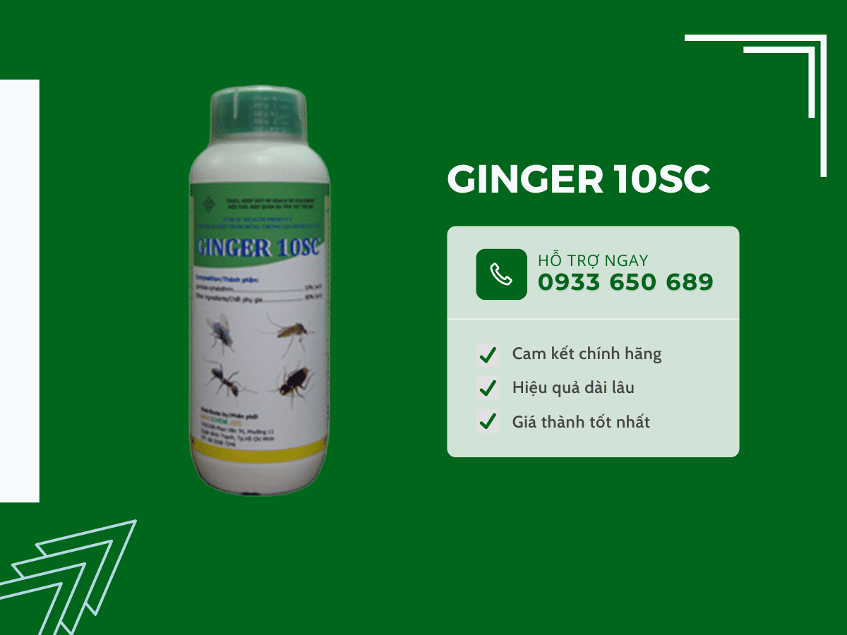 Thuốc diệt kiến Ginger 10sc