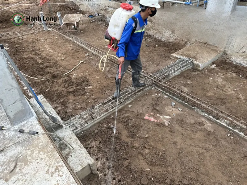 diệt mối quận 12