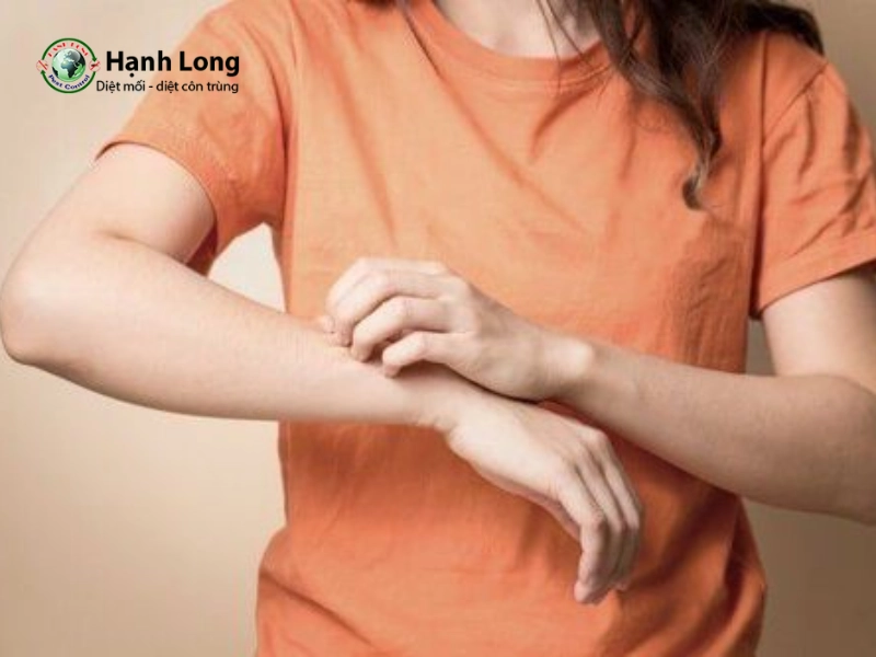 phun thuốc muỗi vào quần áo có sao không phun thuốc muỗi vào quần áo có sao không