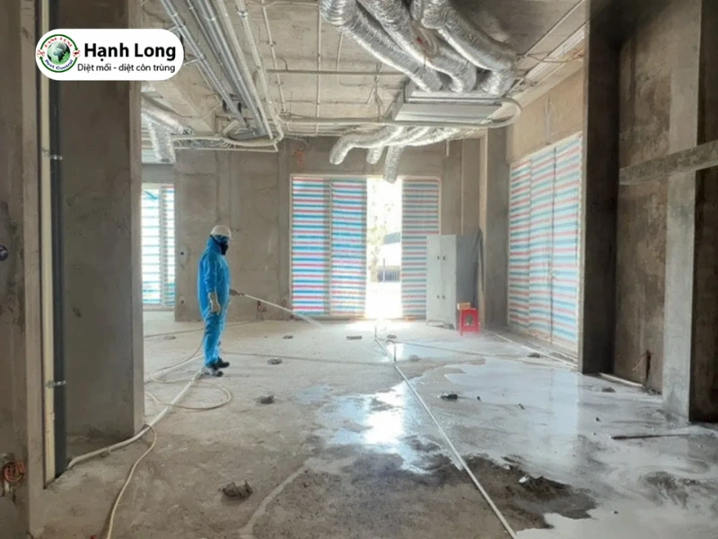 cách diệt mối trong tường nhà