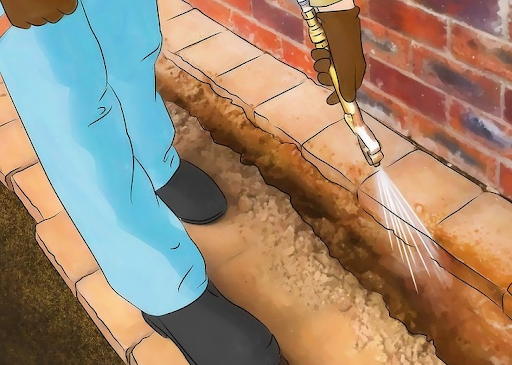 Cách diệt mối dưới nền nhà hiệu quả nhất