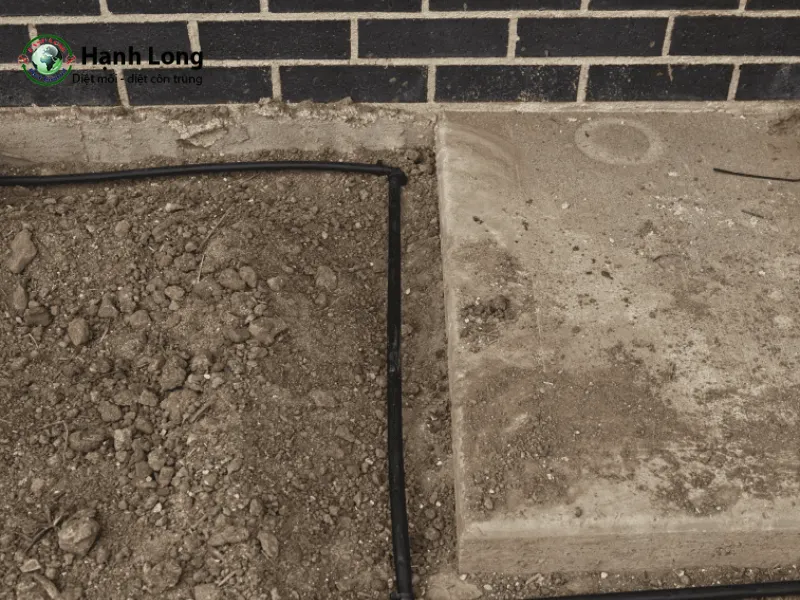 Lắp đặt hệ thống ống dẫn thuốc Lắp đặt hệ thống ống dẫn thuốc