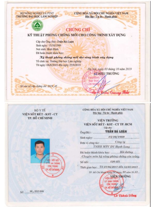 diệt mối hcm