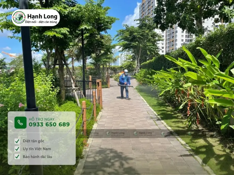 Diệt mối cho trường học