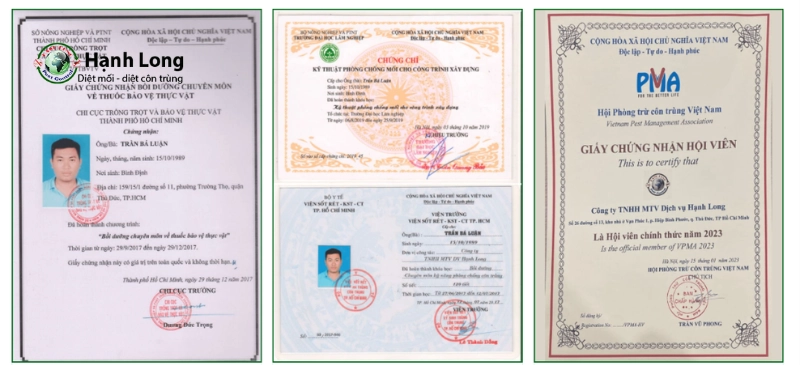 diệt mối quận 10