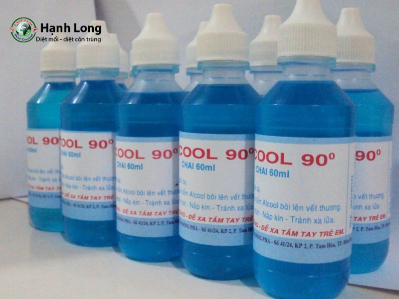 cách diệt mối làm tổ trong nhà