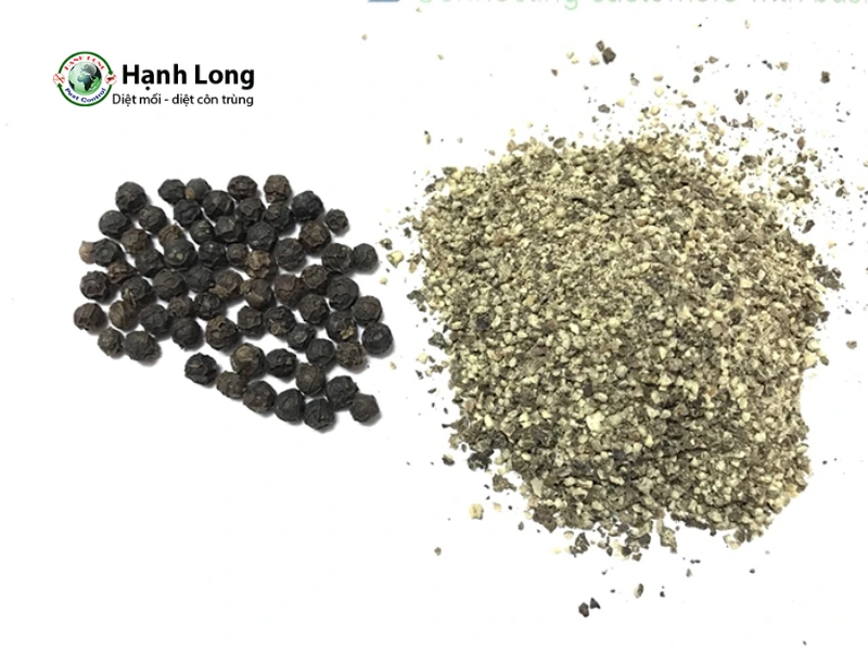 diệt côn trùng tại nhà