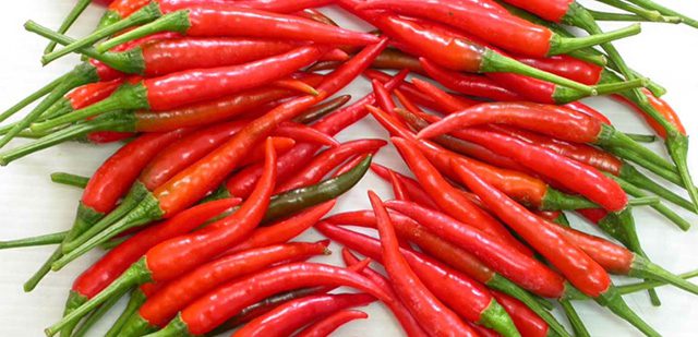 Sử dụng ớt tươi