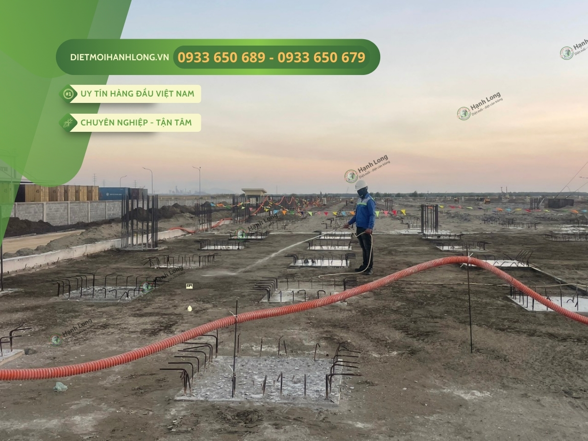 Triển khai phòng chống mối tại Phú Mỹ Vũng Tàu chuyên