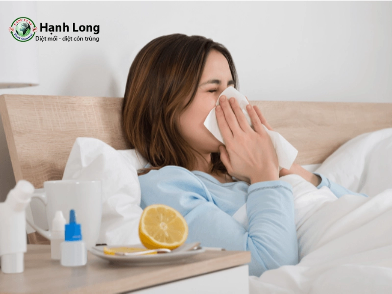 tác hại mối tác hại mối