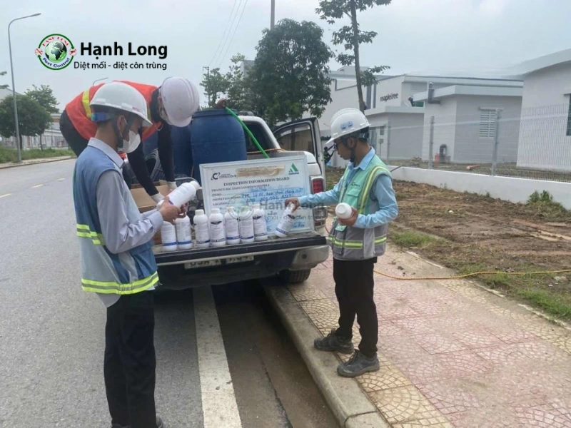 dịch vụ diệt mối quận bình thạnh