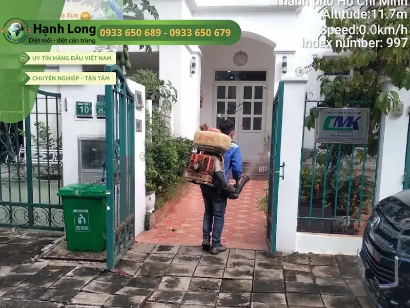 cách diệt mối sàn gỗ