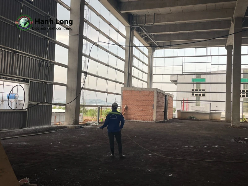 Dịch vụ diệt rệp Dịch vụ diệt rệp