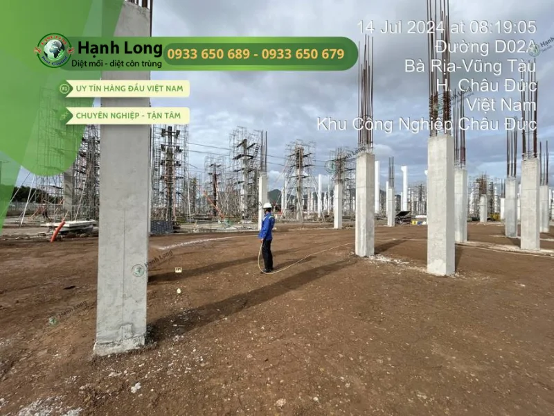 nhà bị mối xông có xui không nhà bị mối xông có xui không