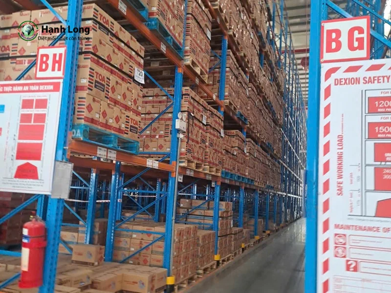 diệt mối tại gò vấp