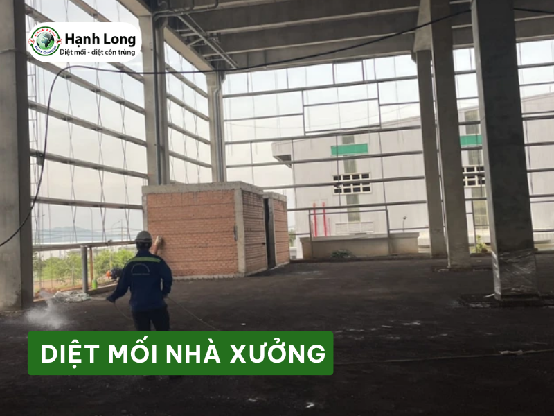 Diệt mối cho nhà xưởng