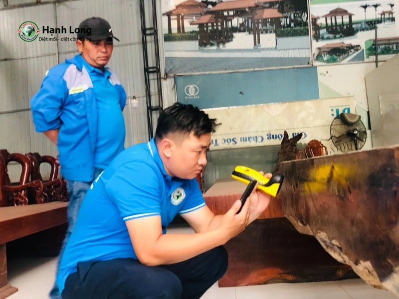công ty diệt mối quận 10