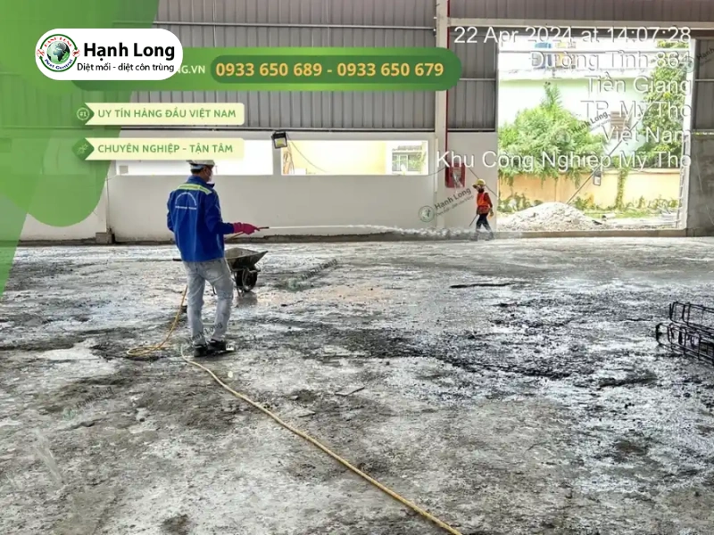 Giải pháp diệt mối tận gốc chuyên nghiệp và bền vững từ Hạnh Long