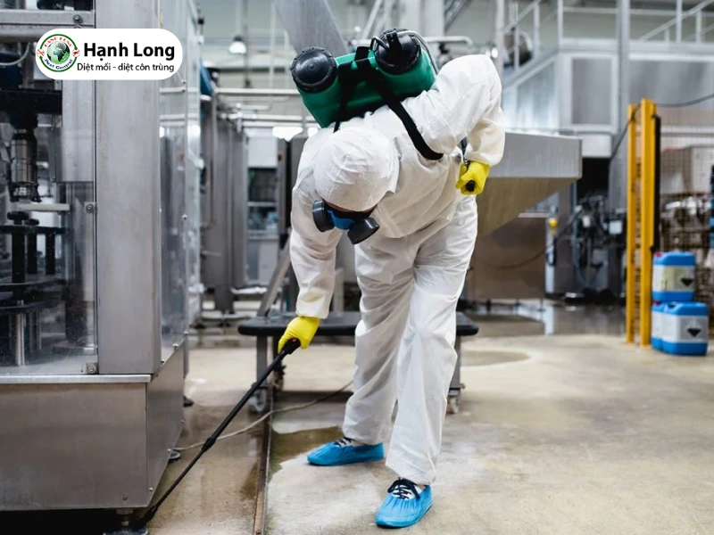 dịch vụ diệt mối nhà xưởng 