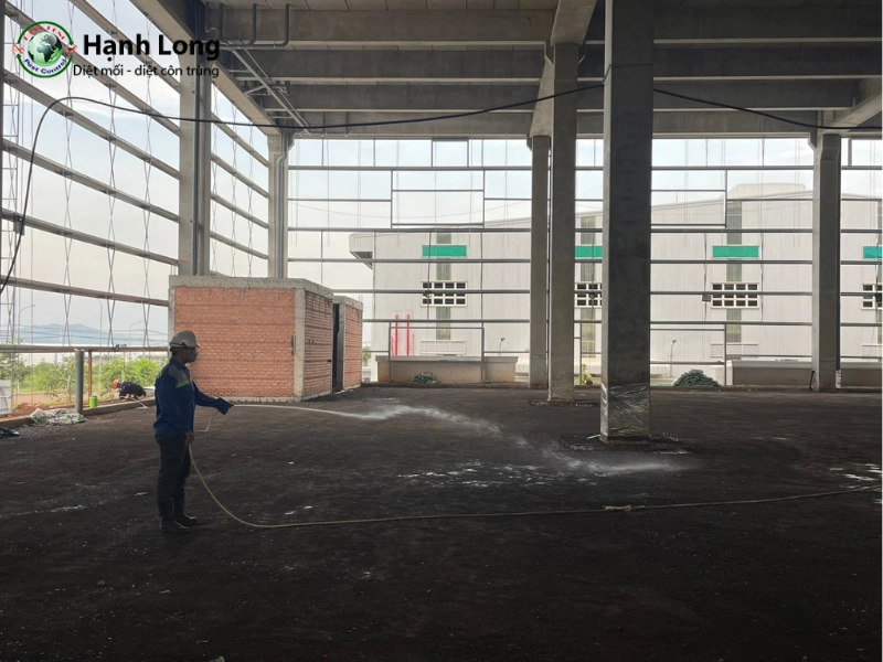 Phương pháp xử lý mối công trình
