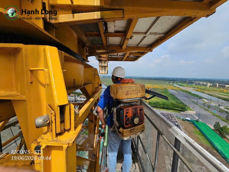 Tại sao bạn xử lý côn trùng mãi không hết?