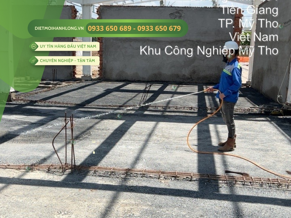 Tận tâm - Chuyên nghiệp