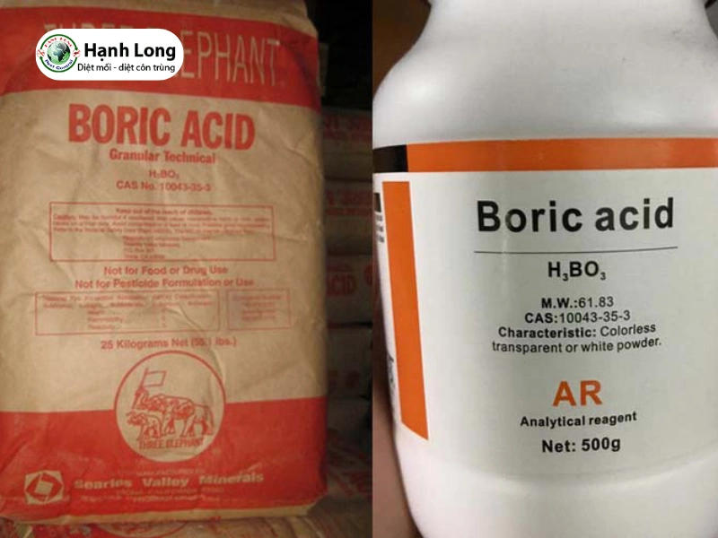 cách trị mối mọt gỗ