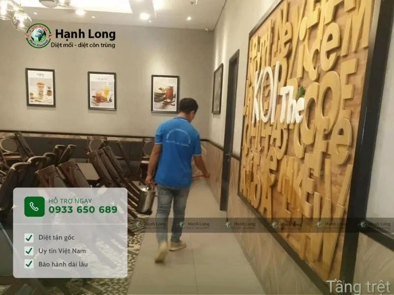 dịch vụ diệt ruồi dịch vụ diệt ruồi