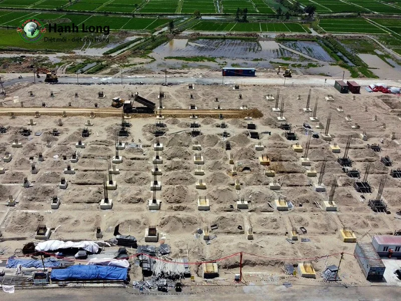 Hệ thống chống mối TermSteel  Sân bay Gia Bình