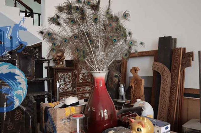 cách đuổi tắc kè ra khỏi nhà 2