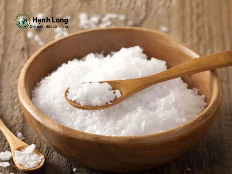 phun thuốc diệt côn trùng tại nhà