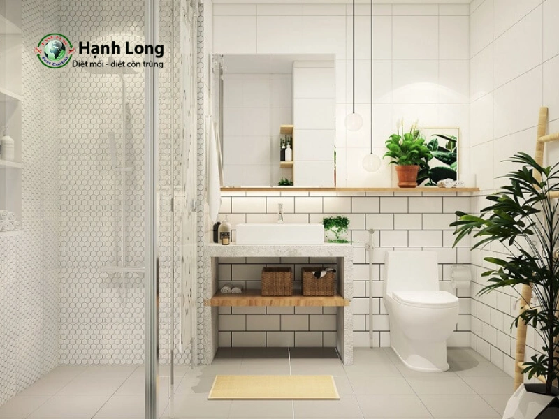 cách trị muỗi trong nhà vệ sinh