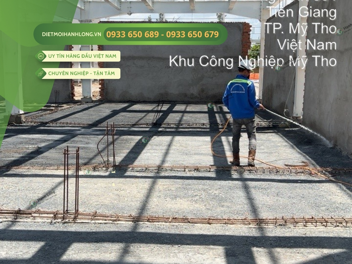 Triển khai chống mối nhanh chóng, chuyên nghiệp