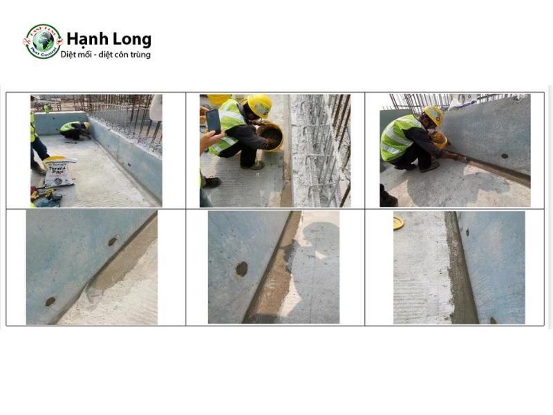 Hệ thống chống mối TermSteel cho Eaton Park