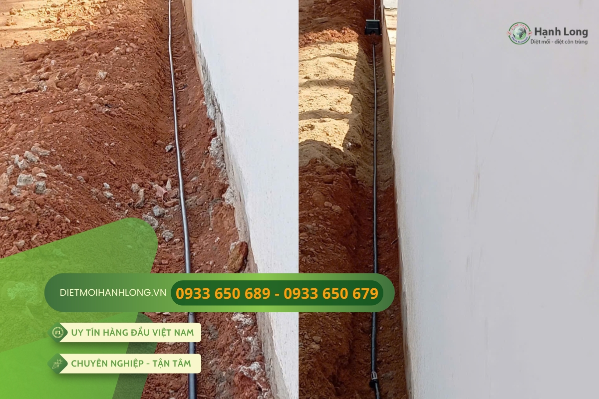 Lắp ống bảo trì Termite Pro