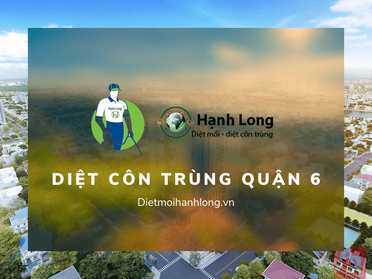 Diệt Côn Trùng Quận 6 Giá Tốt, Chuyên Nghiệp