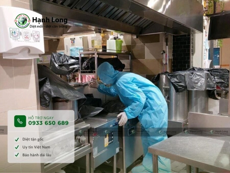 diệt mối tại quận bình thạnh
