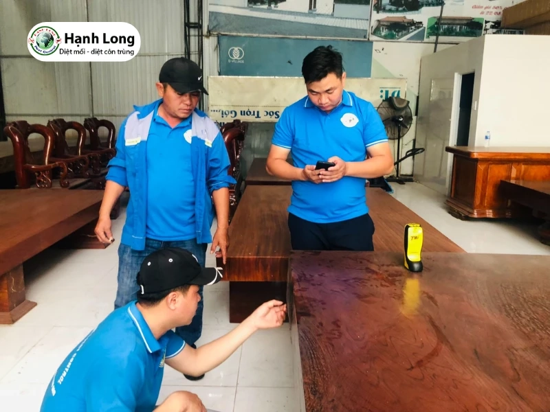 dịch vụ diệt mối quận 7 dịch vụ diệt mối quận 7