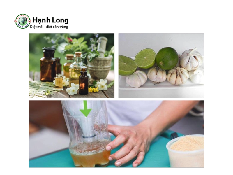 cách diệt muỗi mắt