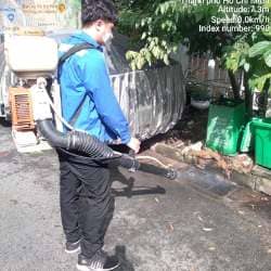 Dịch vụ diệt muỗi