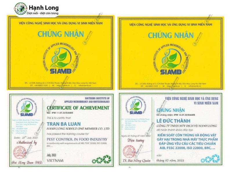 diệt mối quận 3 diệt mối quận 3