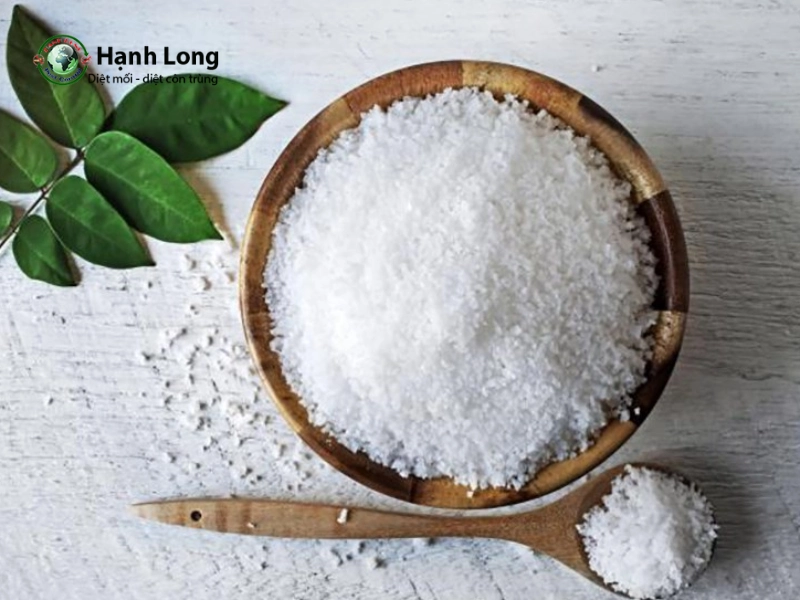 cách diệt lăng quăng bằng muối cách diệt lăng quăng bằng muối