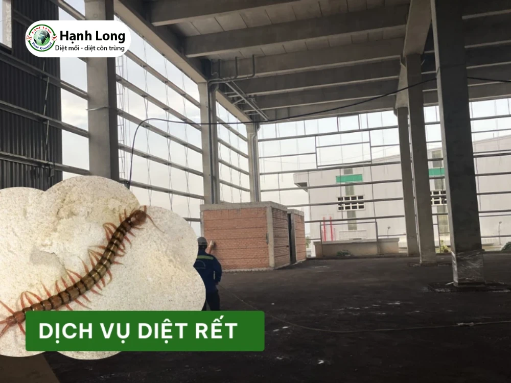 dich vu diet moi con trung