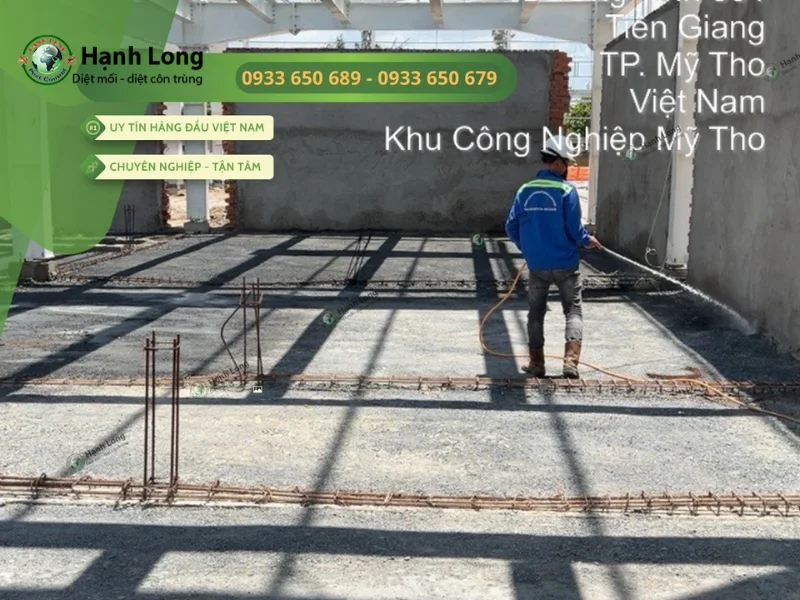 cách diệt mối ăn tường nhà