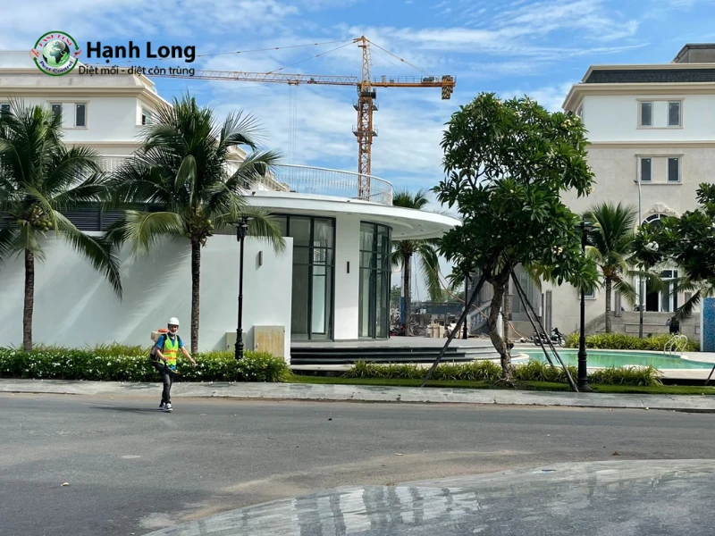 Diệt Muỗi Quận 3