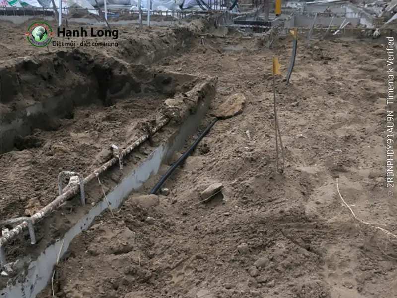 diệt mối huyện bình chánh