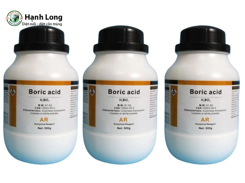 cách diệt mối dưới nền nhà