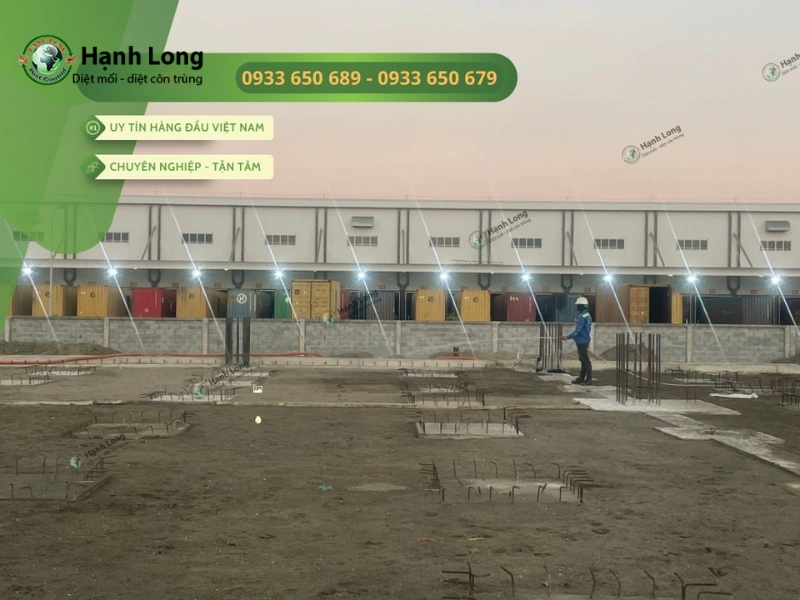 Tại sao nên liên hệ dịch vụ phòng chống mối Hạnh Long Tại sao nên liên hệ dịch vụ phòng chống mối Hạnh Long