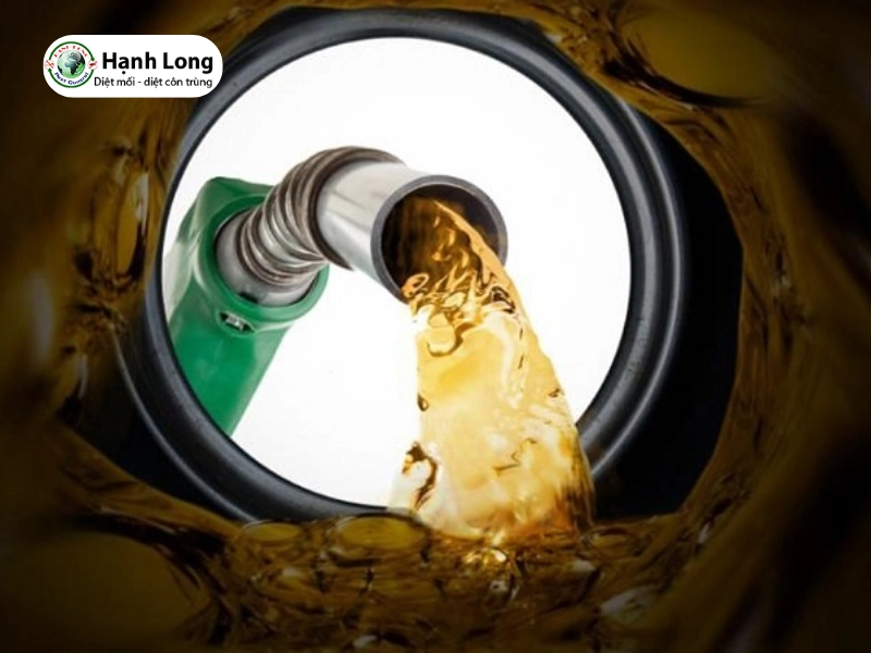 mối xông tủ bếp